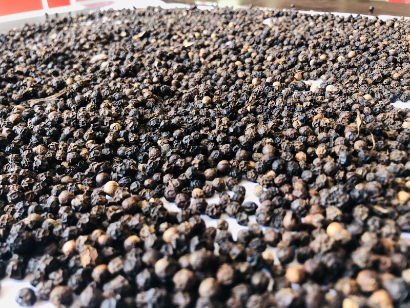 Black pepper heavy berries 